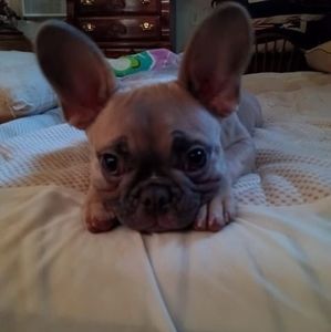 Meet your Posher, Selina